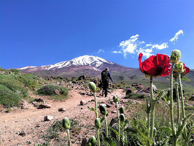 alibabatrek 20 Tips for Climbing Damavand Mount - Damavand trekking alibabatrek  - Iran blog