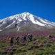 alibabatrek Damavand Elevation Damavand tour iran blog -Iran-Tour trekking